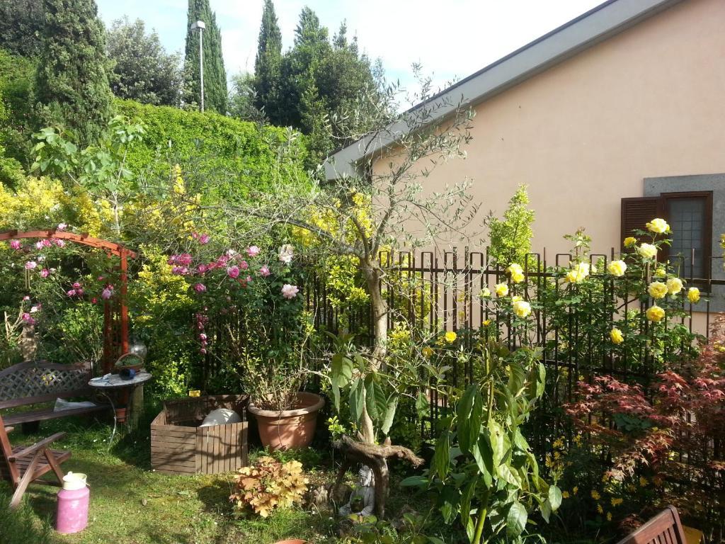 Girasolereale Rom